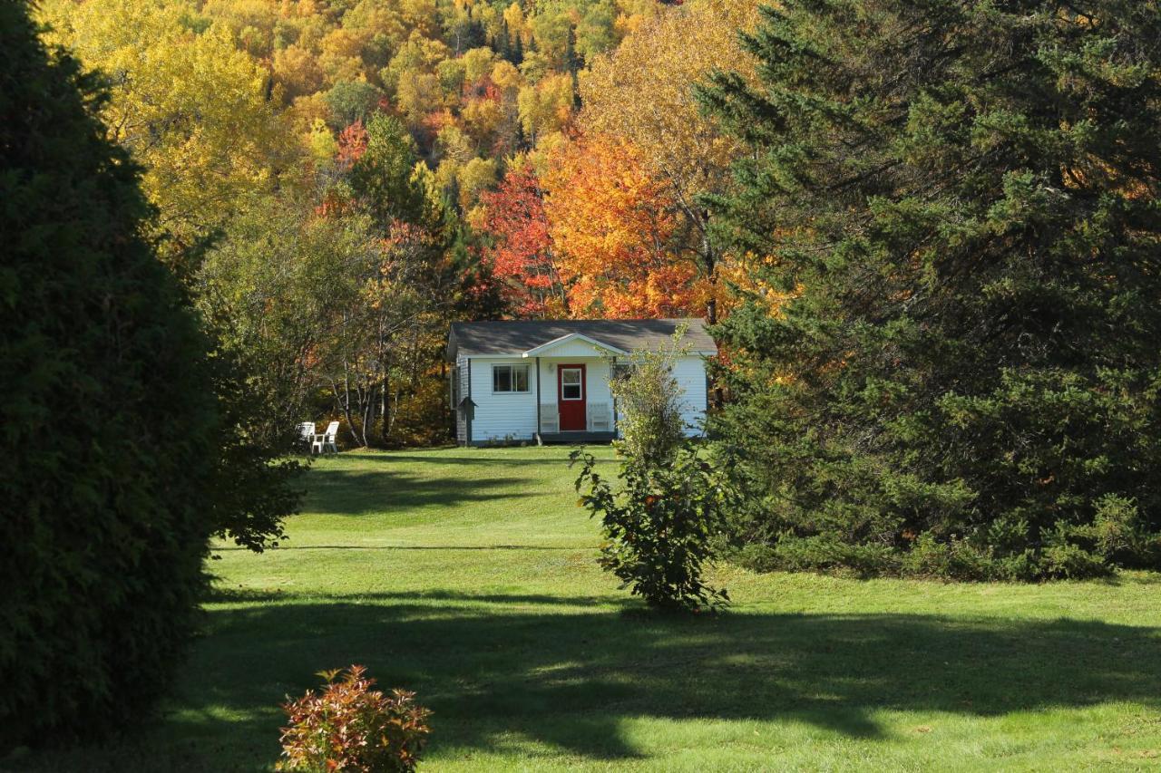 Bord Du St-maurice La Tuque