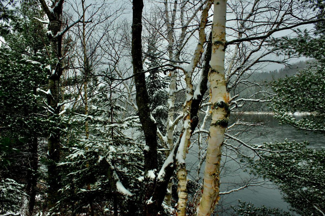 Bord Du St-maurice * La Tuque