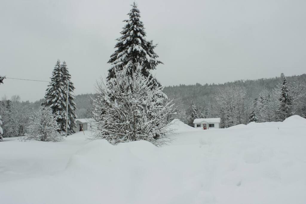 Bord Du St-maurice * La Tuque